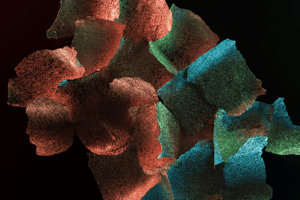 Abstract-metallic-shapes-min