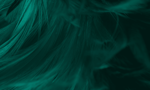Feather-background-texture