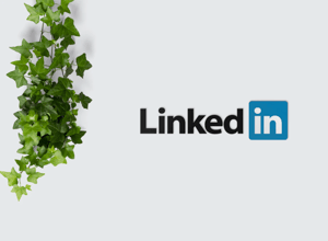 LinkedIn Social Media Guide