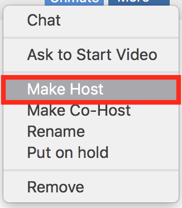 zoom-make-host-setting